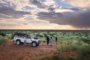 Lee más sobre el artículo Tswalu Kalahari