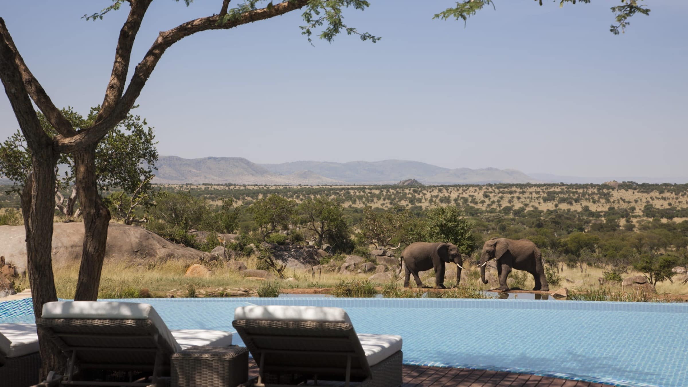 Four Seasons Safari Lodge Serengeti