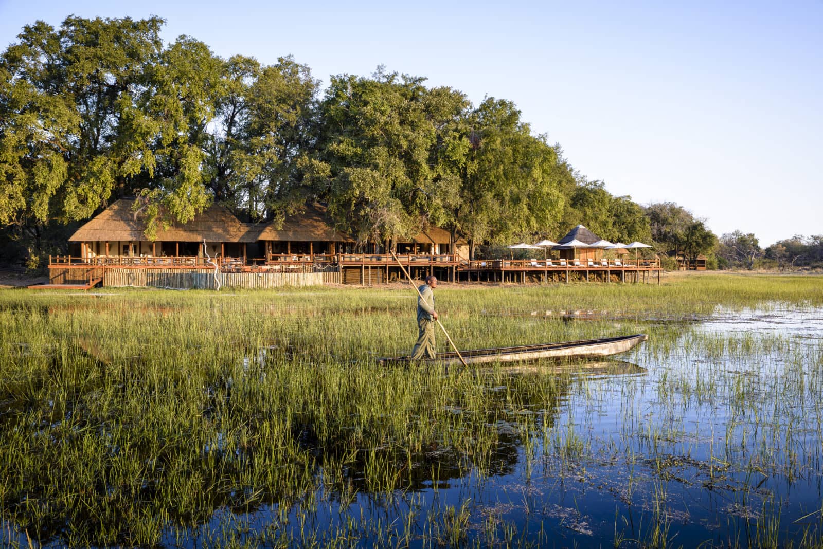 Sanctuary Chiefs Camp