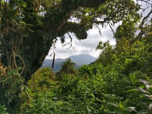 Lee más sobre el artículo Parque Nacional de los Volcanes