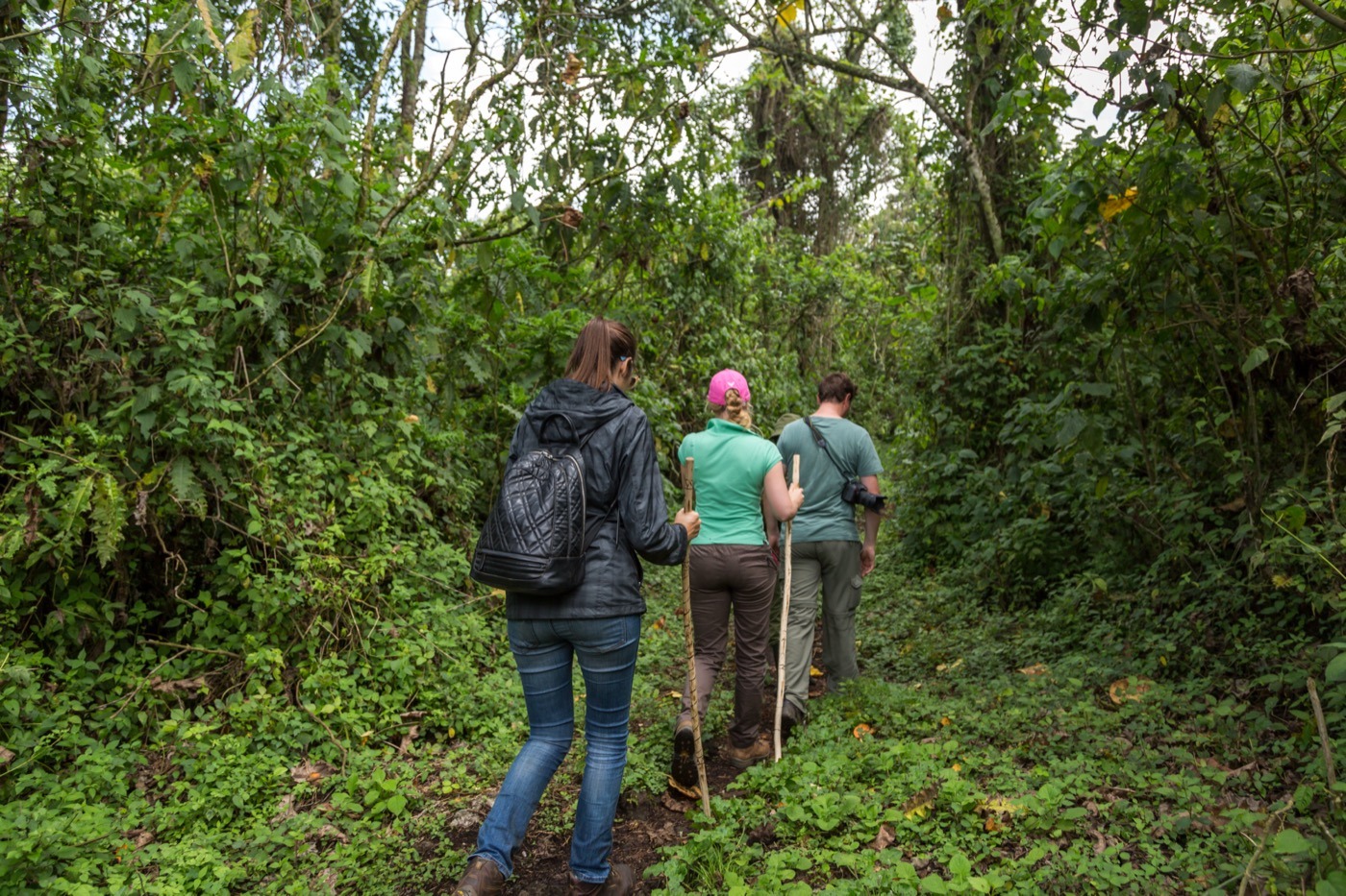 Trekking con gorilas en Ruanda