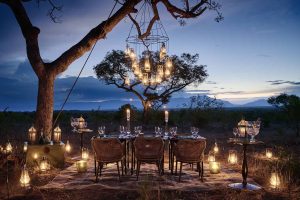 Lee más sobre el artículo La guía definitiva para una luna de miel de lujo en Africa: romance, safari y playas paradisíacas.