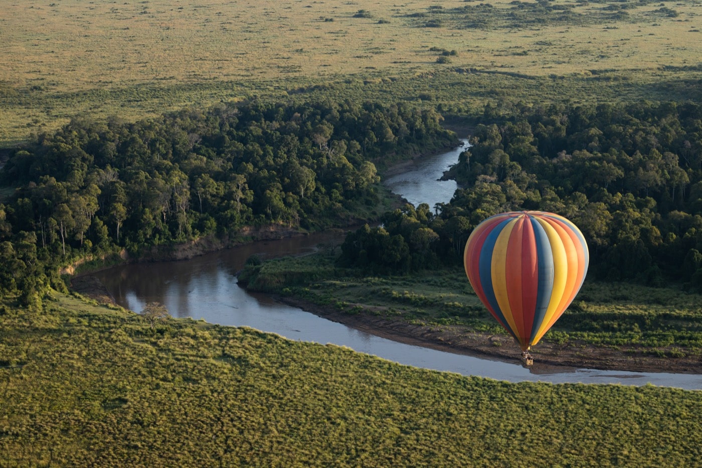 Vuelos en globo sobre la sabana
