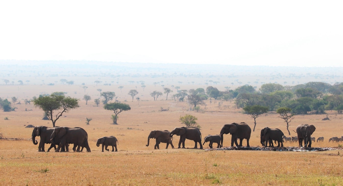 Dos salidas diarias (amanecer y atardecer)