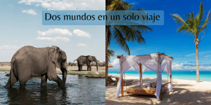 Read more about the article Safari y Playa en África: La Guía Definitiva para Combinar Aventura y Lujo en un Solo Viaje
