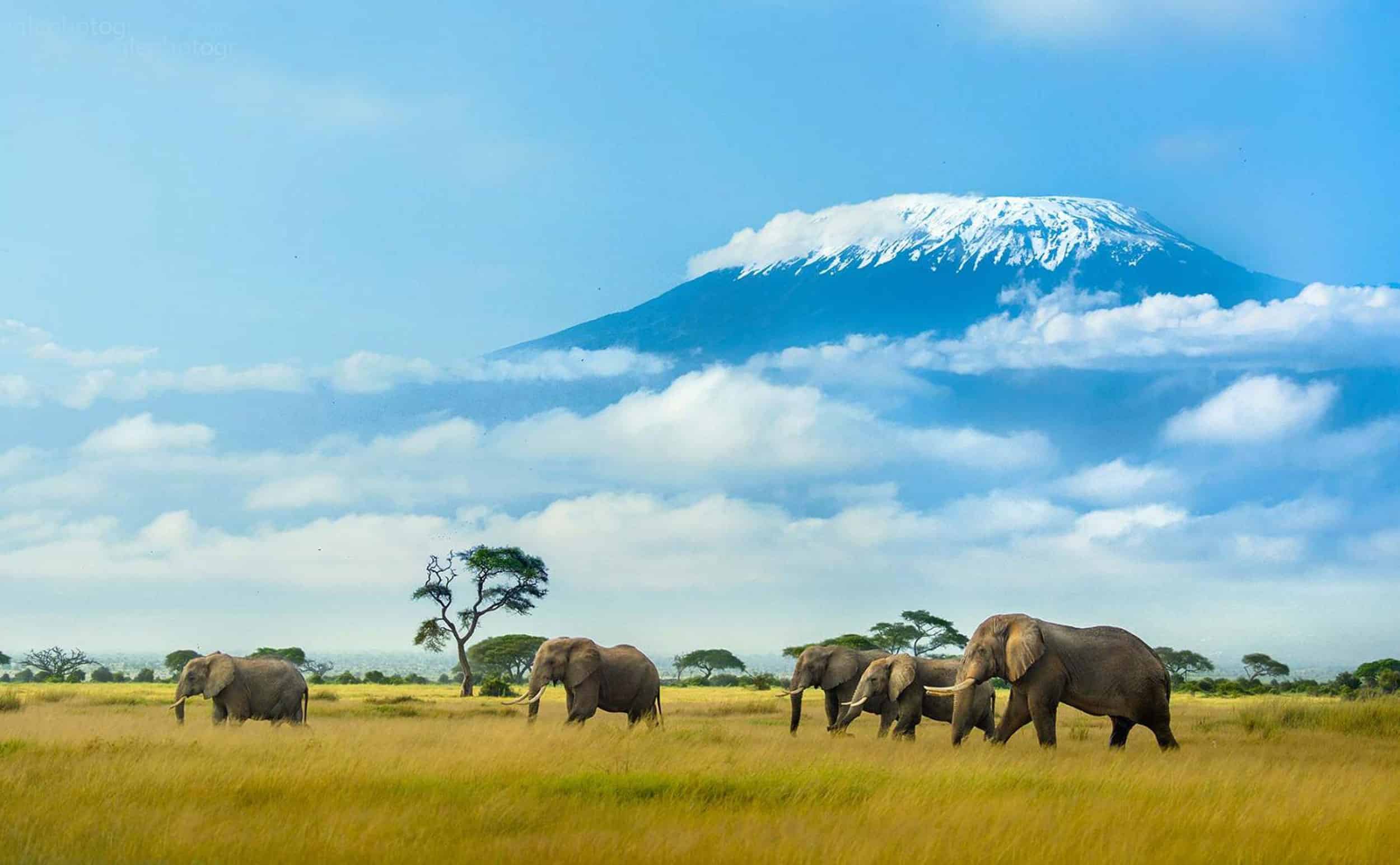 Amboseli National Park
