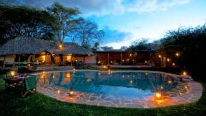Lee más sobre el artículo ¿Por qué contratar una agencia de safari local en África? La diferencia que nadie te cuenta