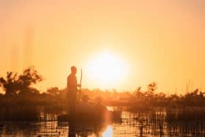 Lee más sobre el artículo El Okavango: Por qué los viajeros de lujo que ya conocen el safari clásico están eligiendo Botswana