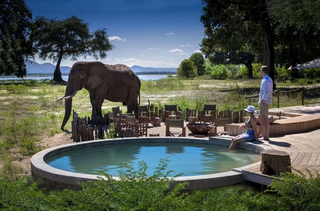 Nyamatusi Camp, Mana Pools