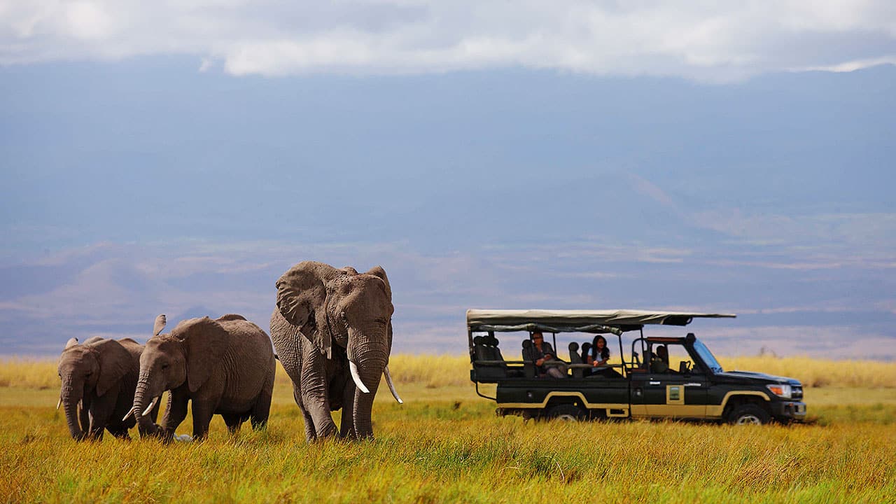 Tortilis Camp, Amboseli